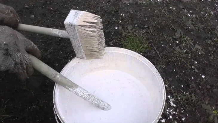 Раствор извести Раствор извести