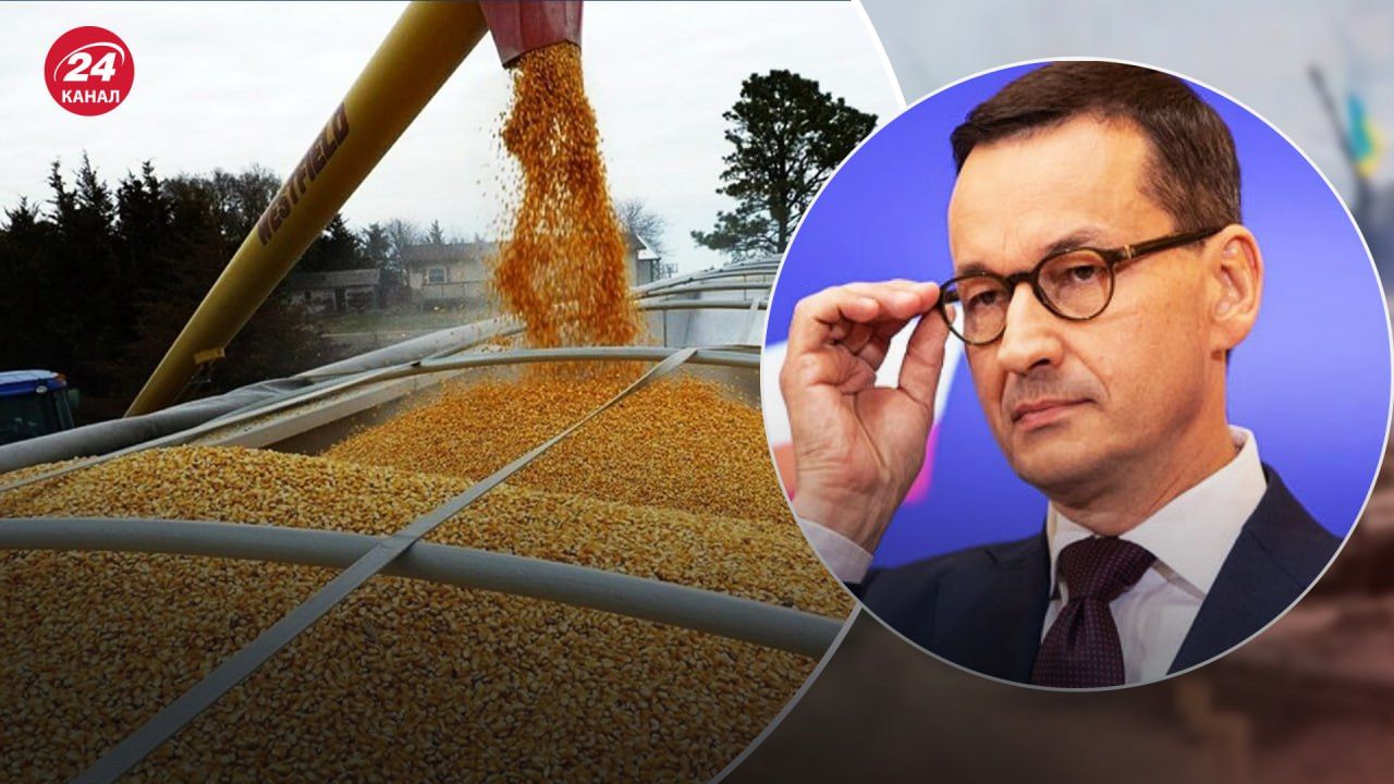 Почему Польша так агрессивно реагирует из-за экспорта зерна из Украины.