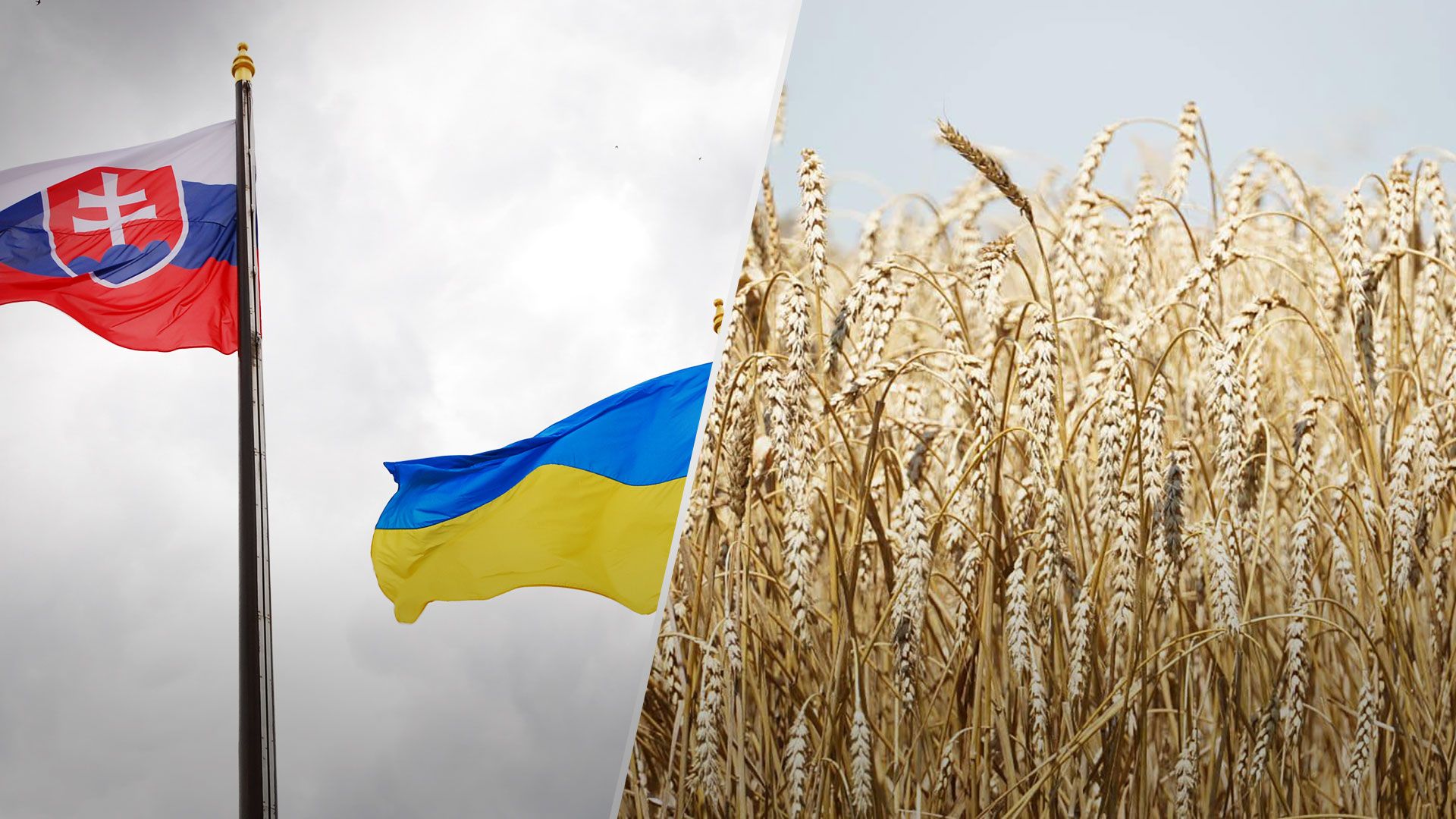 Словаччина скасує заборону на імпорт зерна з України - Новини України - 24 Канал Словаччина скасує заборону на імпорт зерна з України - Новини України - 24 Канал