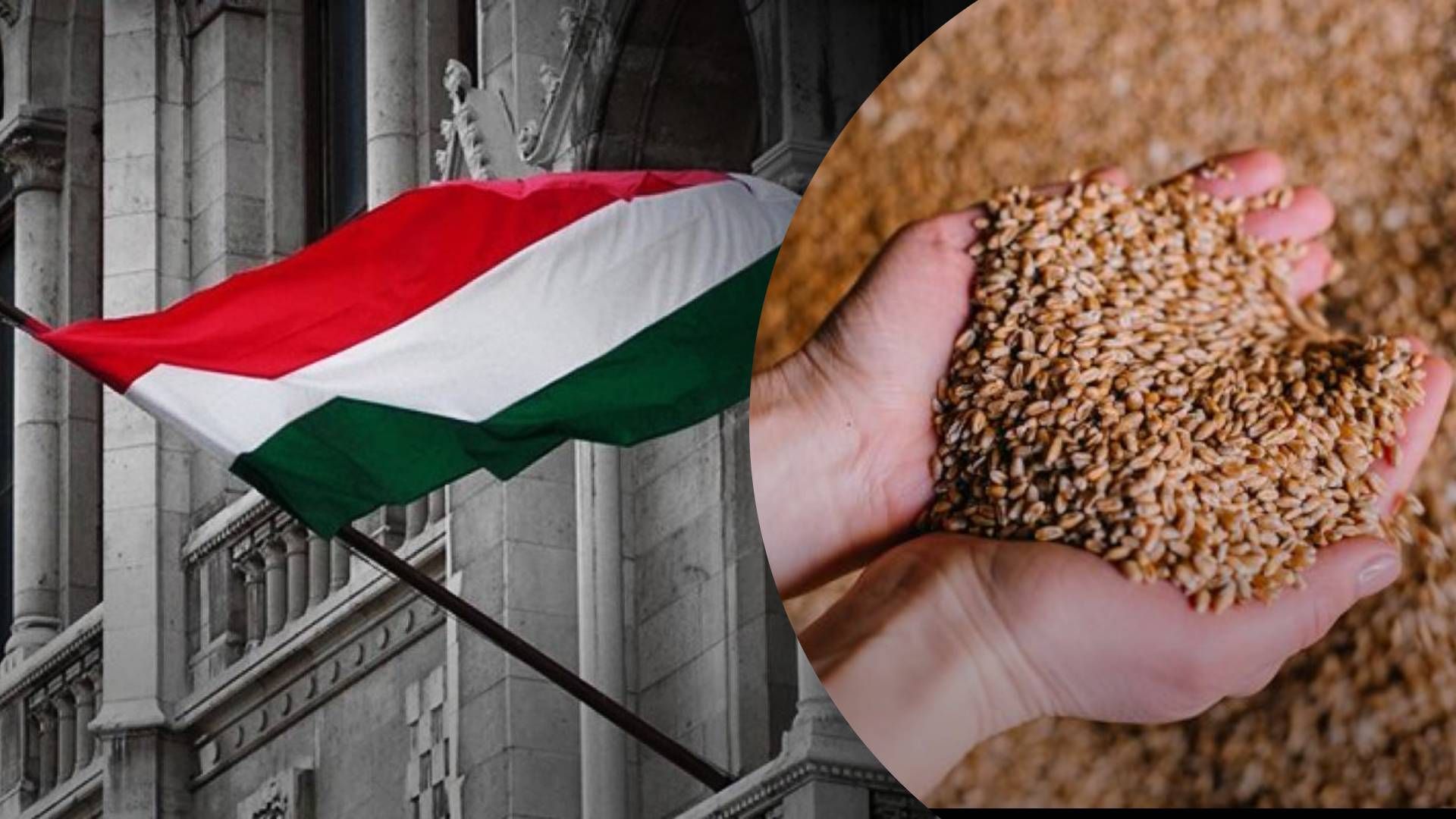 Украина ведет переговоры с Венгрией - 24 Канал Украина ведет переговоры с Венгрией - 24 Канал