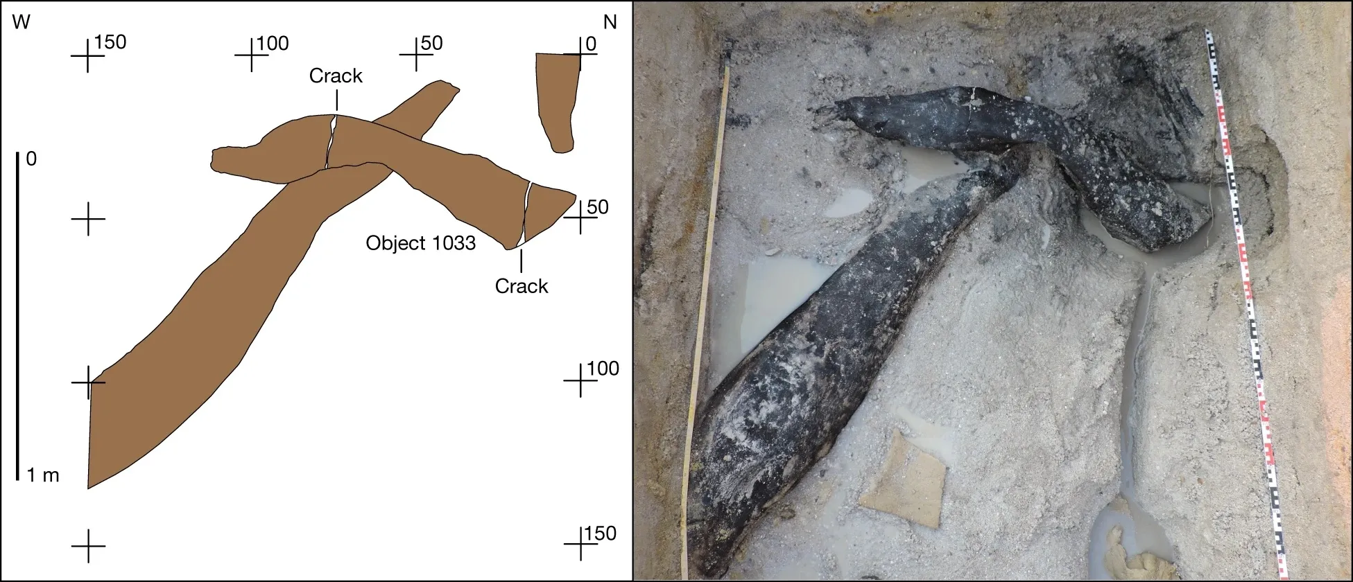 Люди строили конструкции из древесины уже полмиллиона лет назад Люди строили конструкции из древесины уже полмиллиона лет назад