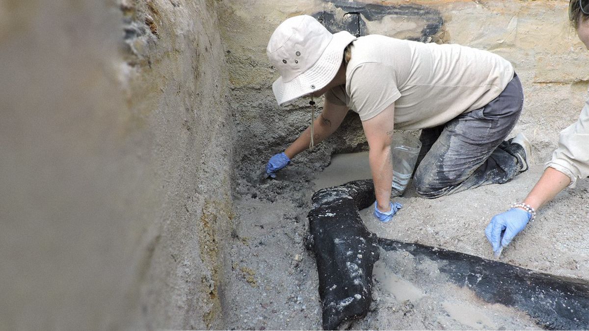 Археологи раскопали старейшее свидетельство человеческого строительства