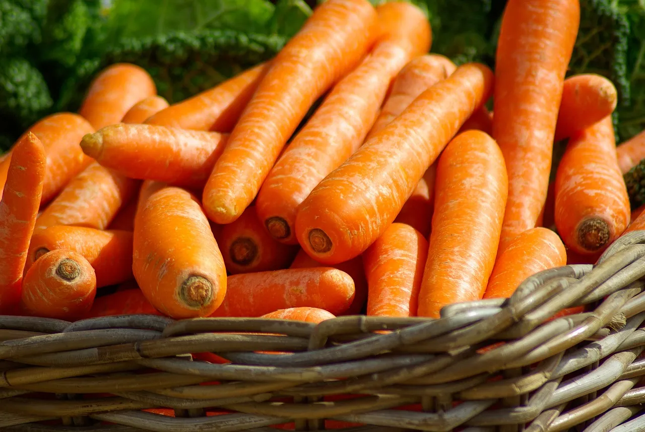 Як зберігати моркву