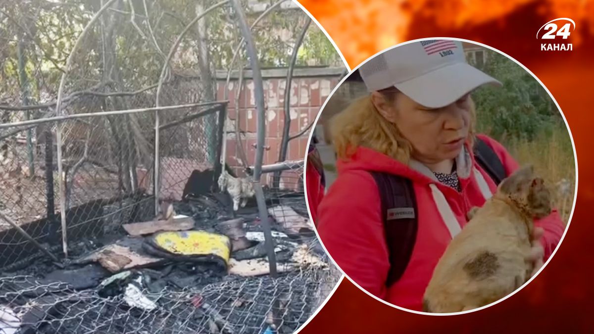 Женщина рассказала о пожаре в Котохате, который видела собственными глазами - 24 Канал