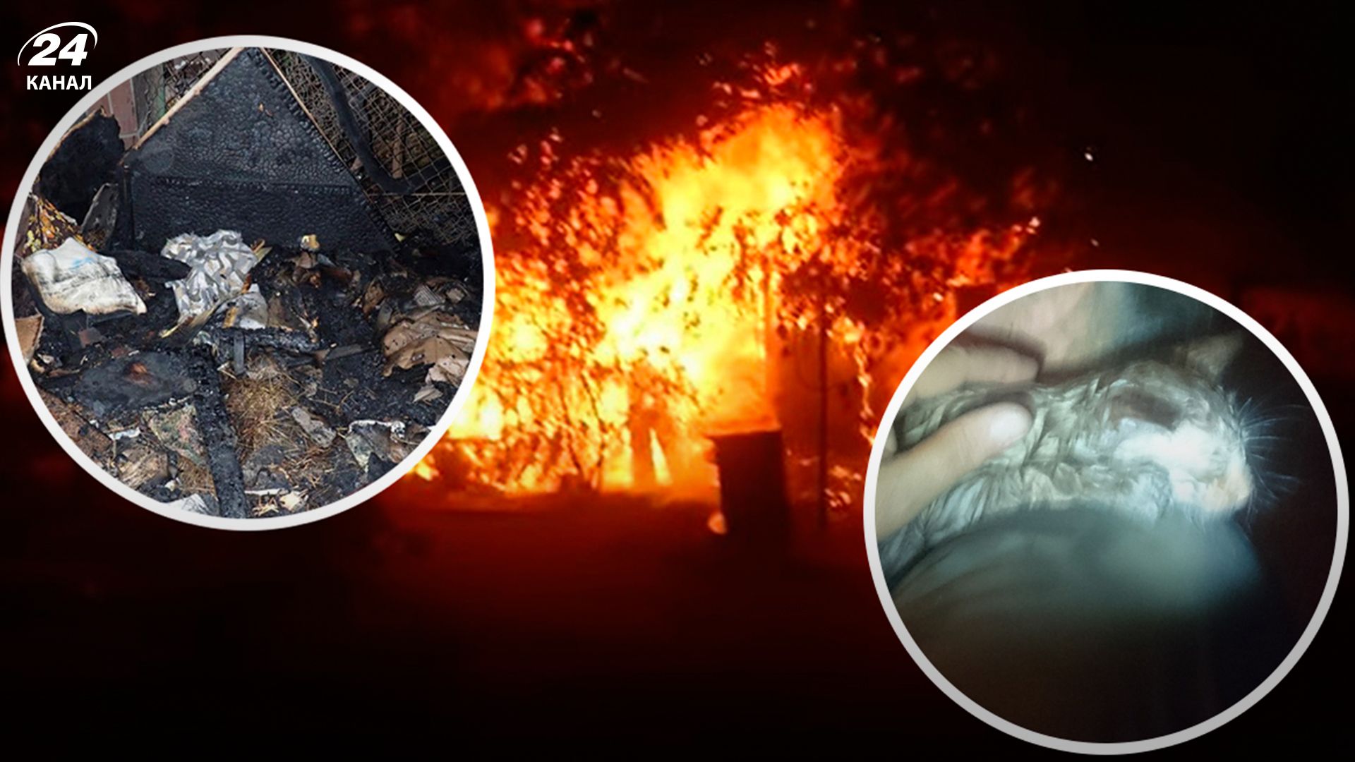 Пожежа у Котохаті - 24Канал Пожежа у Котохаті - 24Канал