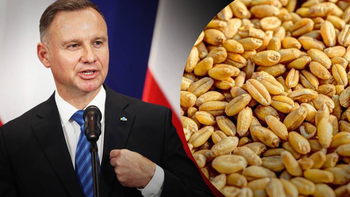 Польша хочет помочь Украине увеличить экспорт зерна в другие страны Польша хочет помочь Украине увеличить экспорт зерна в другие страны