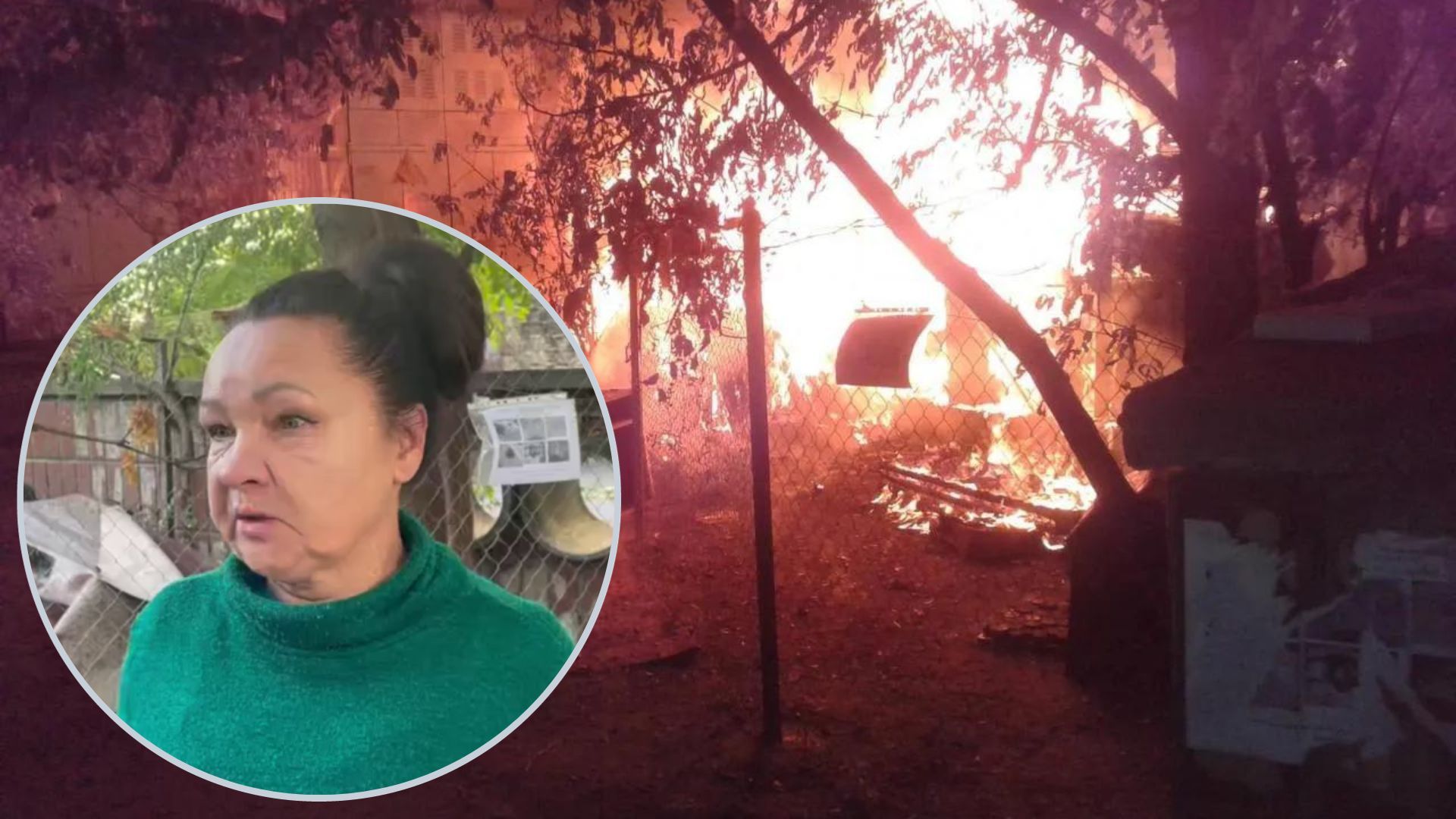 Жители двора, где женщина обустроила "приют" для кошек, рассказали о конфликтах Жители двора, где женщина обустроила "приют" для кошек, рассказали о конфликтах