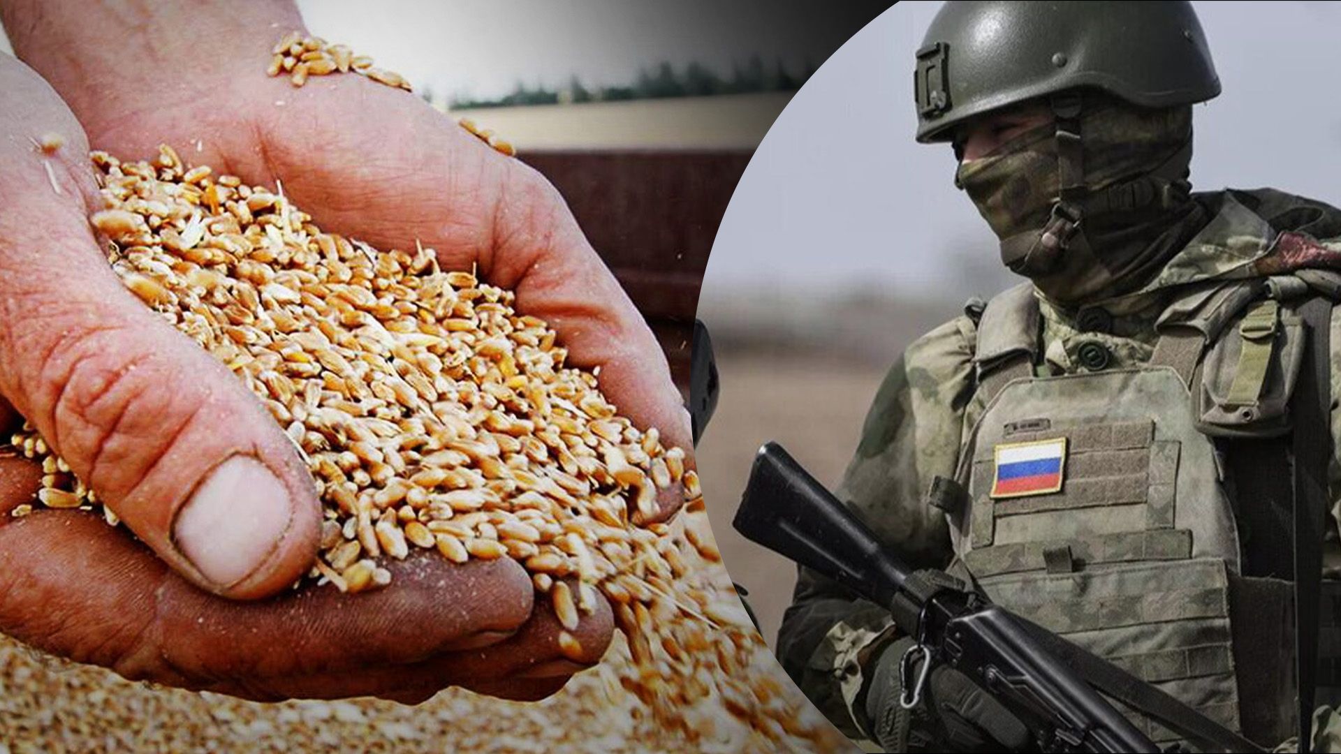 Как Россия хотела создать голод в Украине