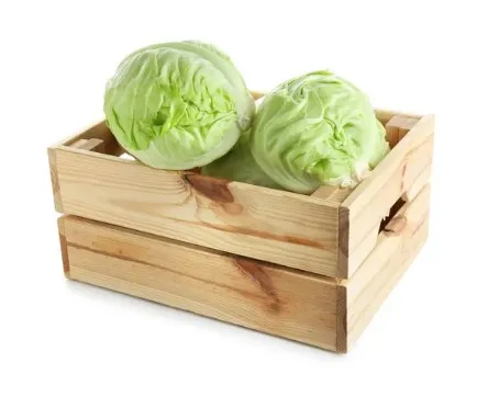 Как хранить капусту на зиму Как хранить капусту на зиму