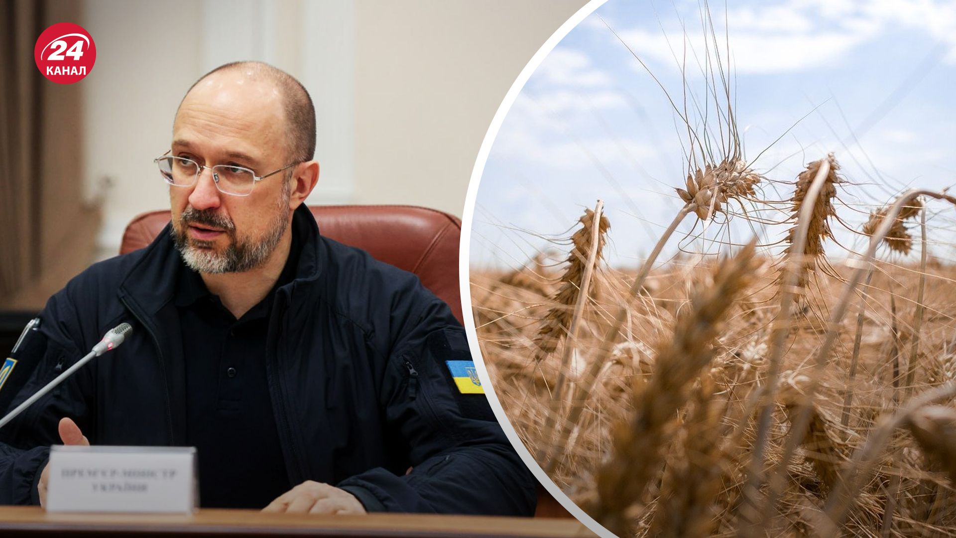 Доки Україну просять відкликати скаргу до СОТ, уряд запроваджує новий механізм експорту зерна - Економіка