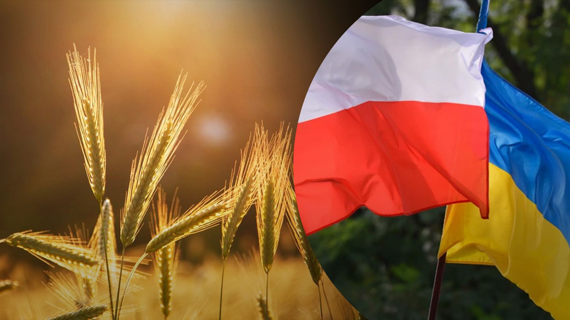 Україна та Польща обговорюють ліцензування української агропродукції