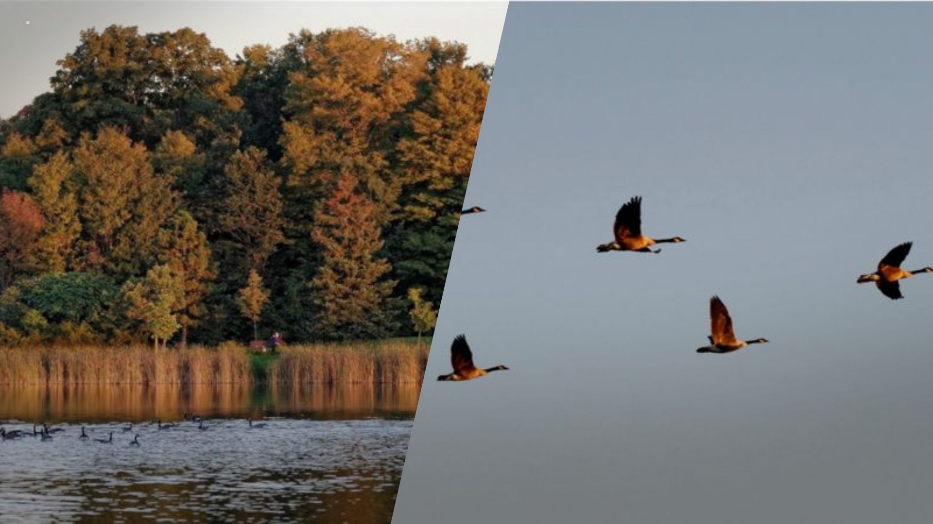 Дощова осінь не поспішає в гості - 24 Канал Дощова осінь не поспішає в гості - 24 Канал