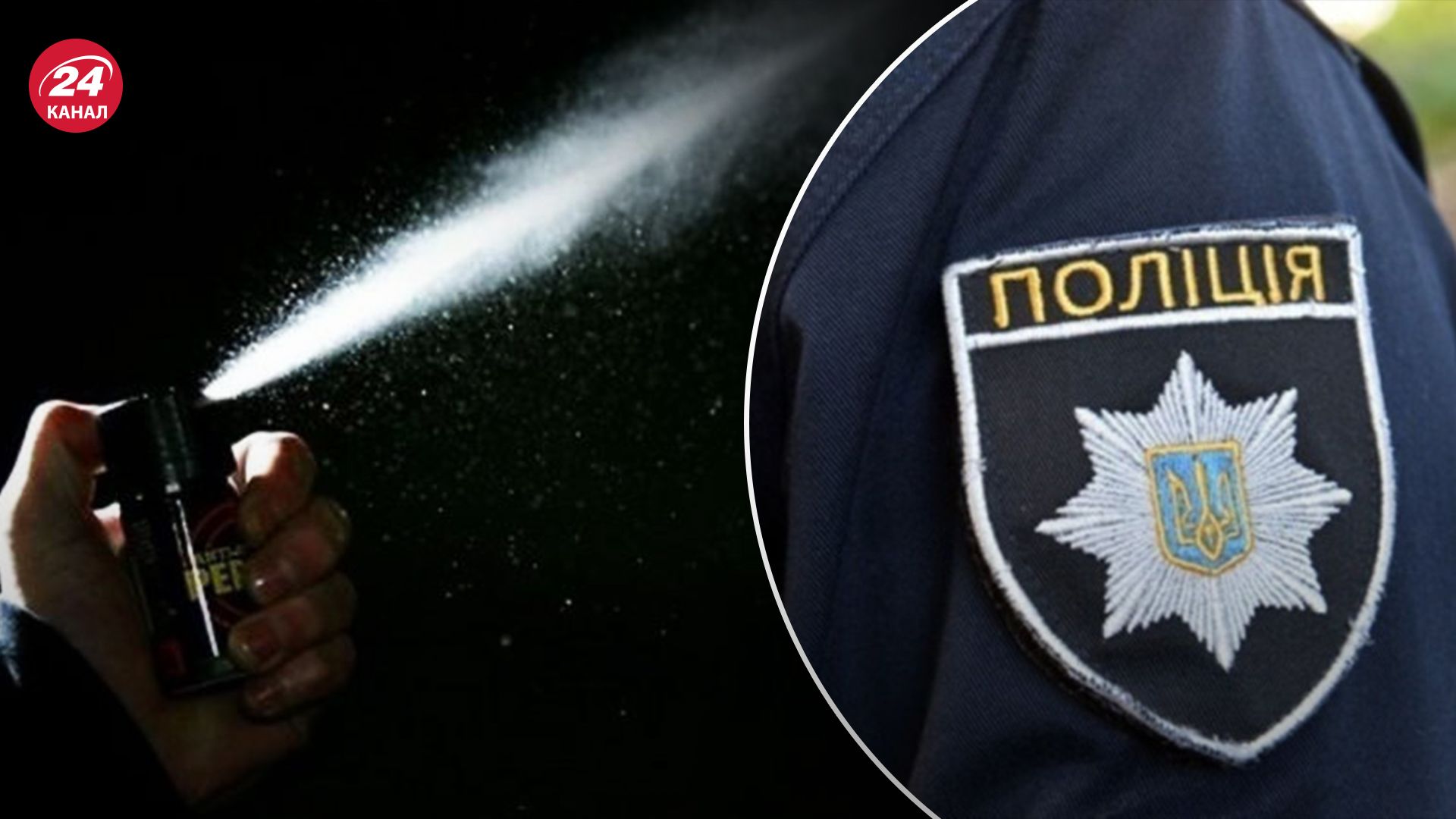 Под Киевом эвакуировали учеников лицея Под Киевом эвакуировали учеников лицея