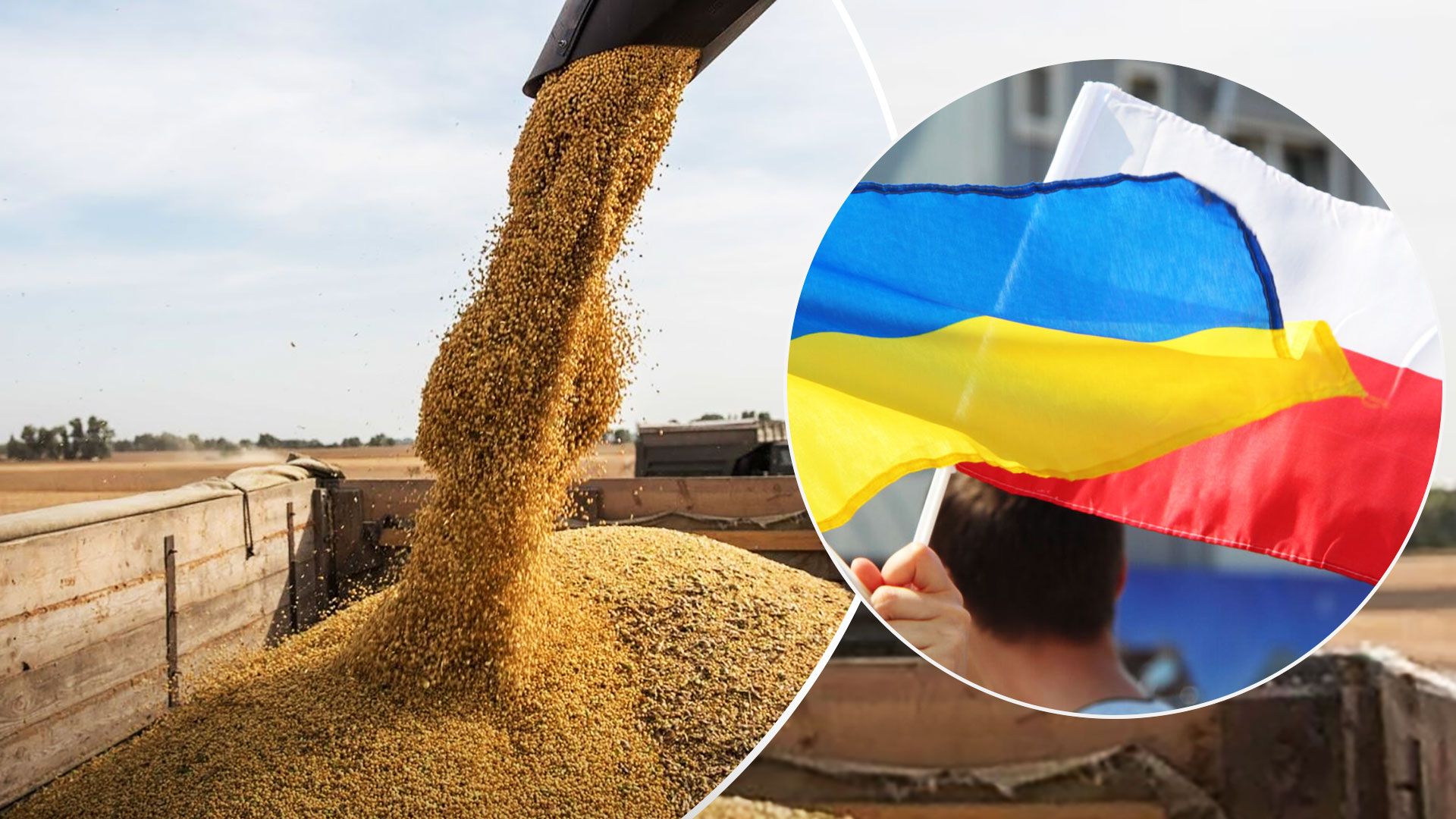 Польща не скасує заборону на імпорт українського зерна