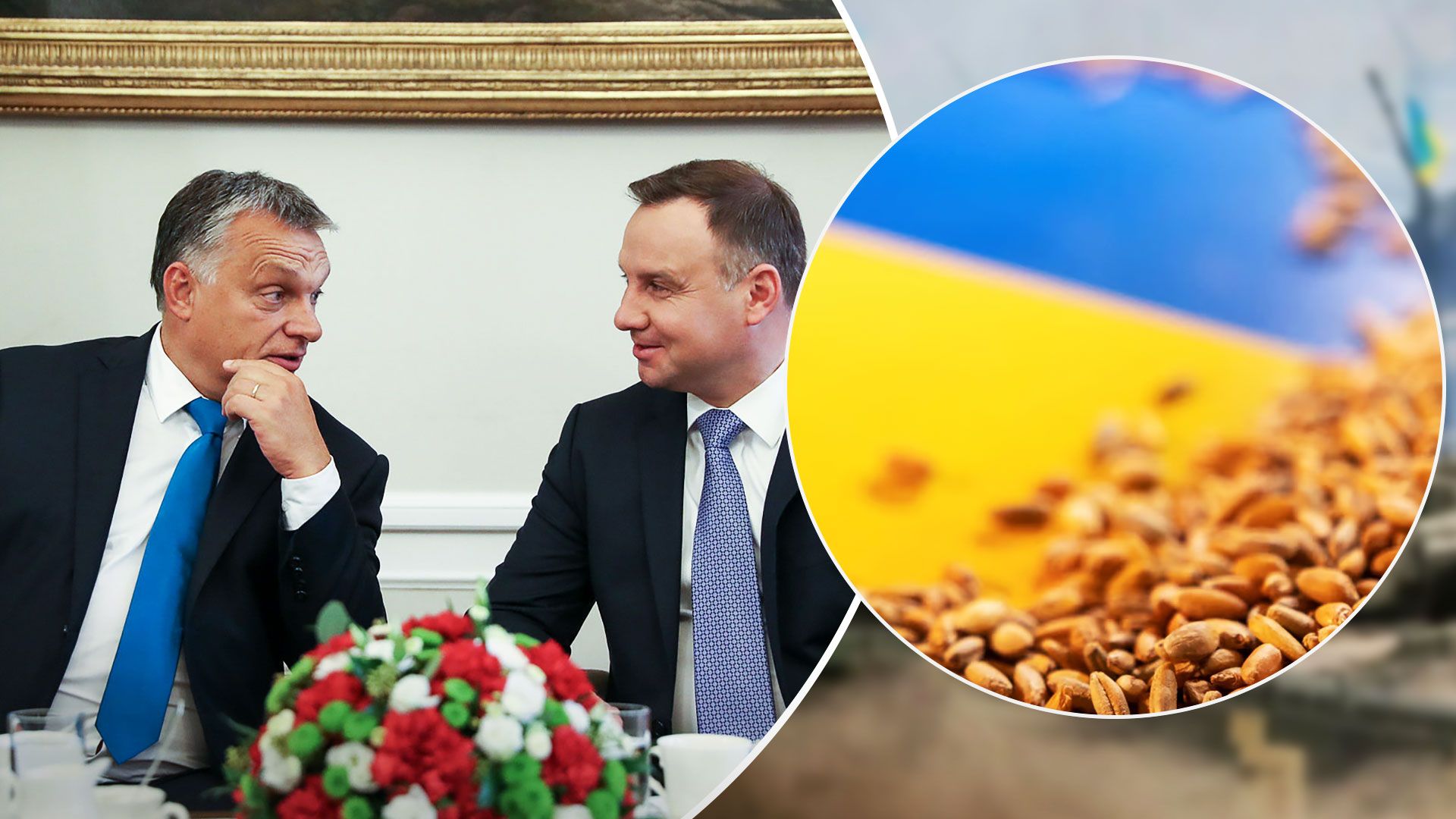 Польща та Угорщина проігнорували зустріч щодо експорту українського зерна - 24 Канал Польща та Угорщина проігнорували зустріч щодо експорту українського зерна - 24 Канал