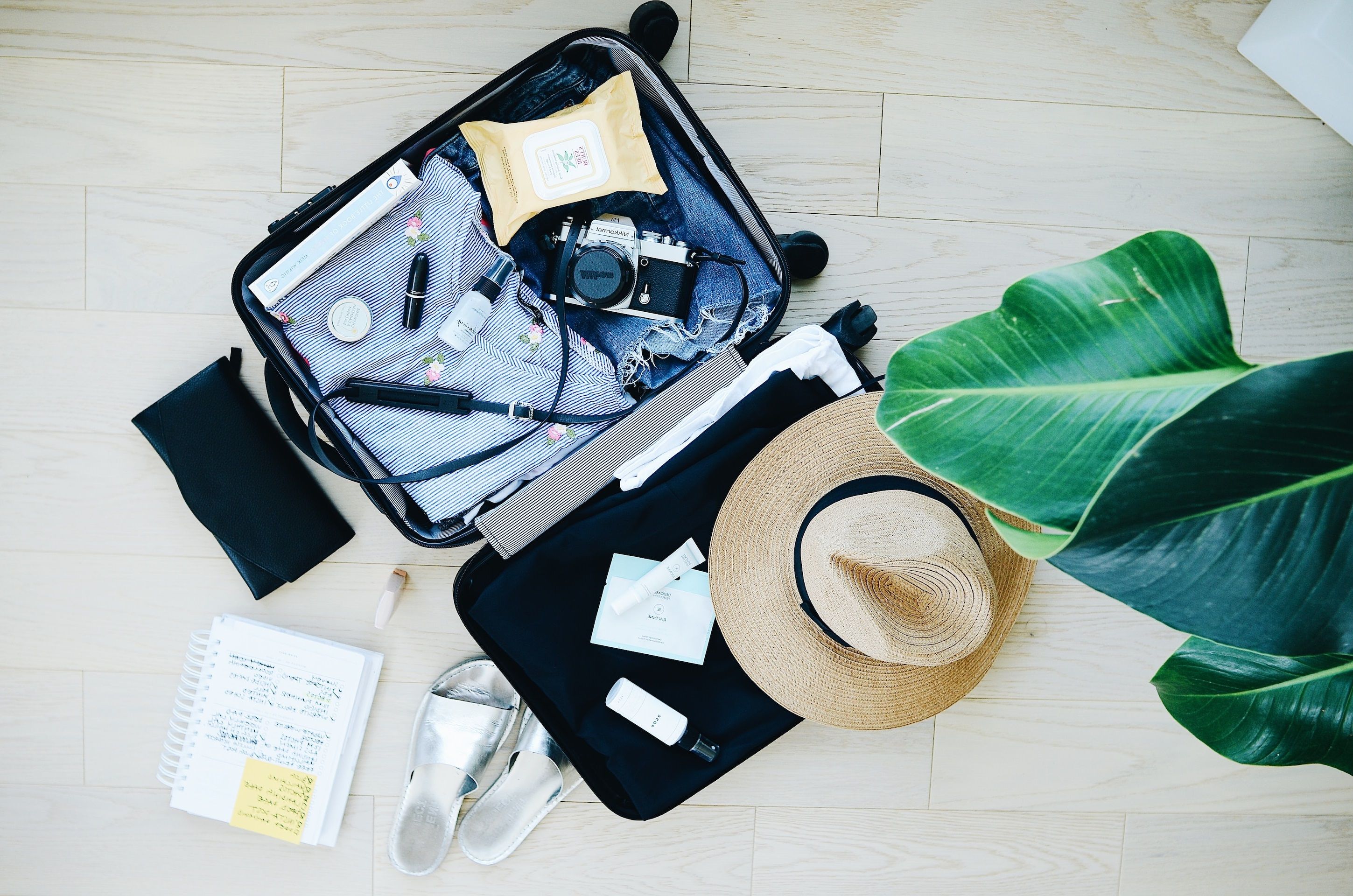 Смогут ли женщины-медики уезжать за границу Смогут ли женщины-медики уезжать за границу