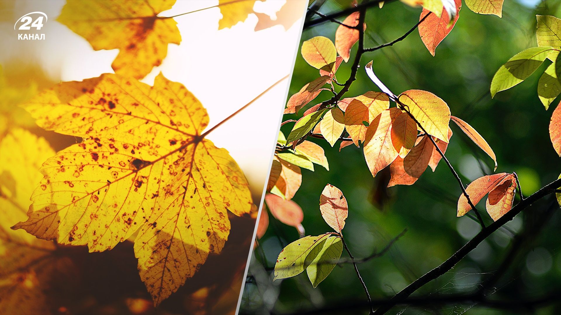 Прогноз погоды в Украине 3 октября Прогноз погоды в Украине 3 октября