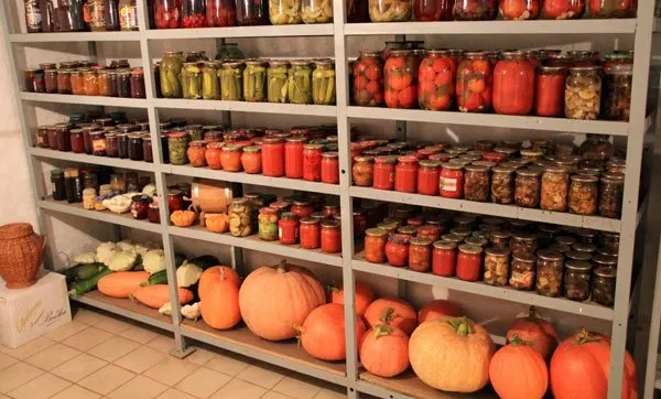 Тыквы на стеллажах Тыквы на стеллажах