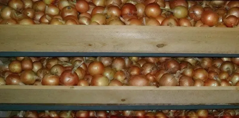 Зберігання в коморі на стелажі Зберігання в коморі на стелажі