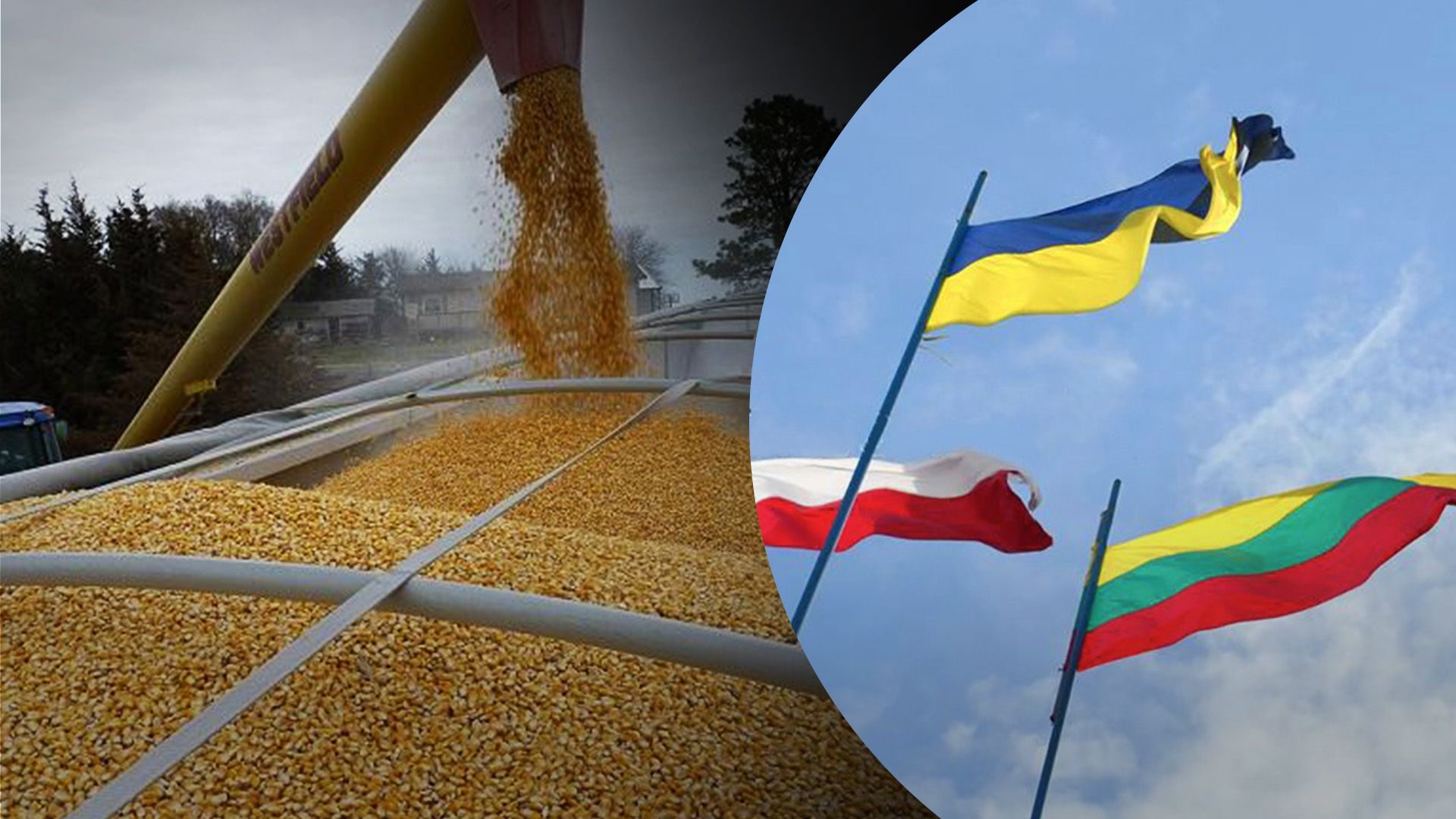 Польща, Україна і Литва домовились перенести перевірки українського зерна