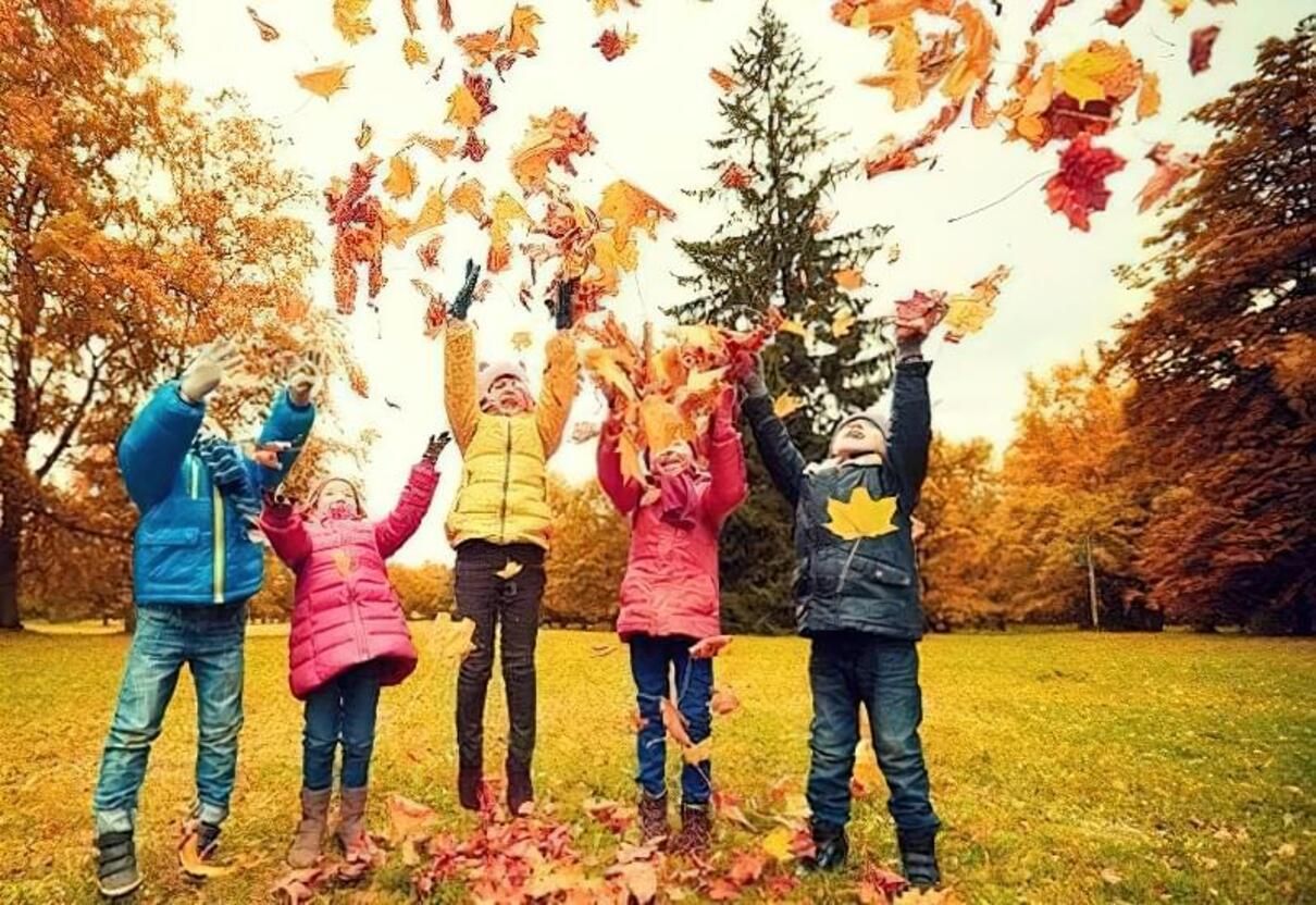 Когда осенние каникулы 2023 в школах Украины - сколько и будут ли отдыхать ученики осенью Когда осенние каникулы 2023 в школах Украины - сколько и будут ли отдыхать ученики осенью