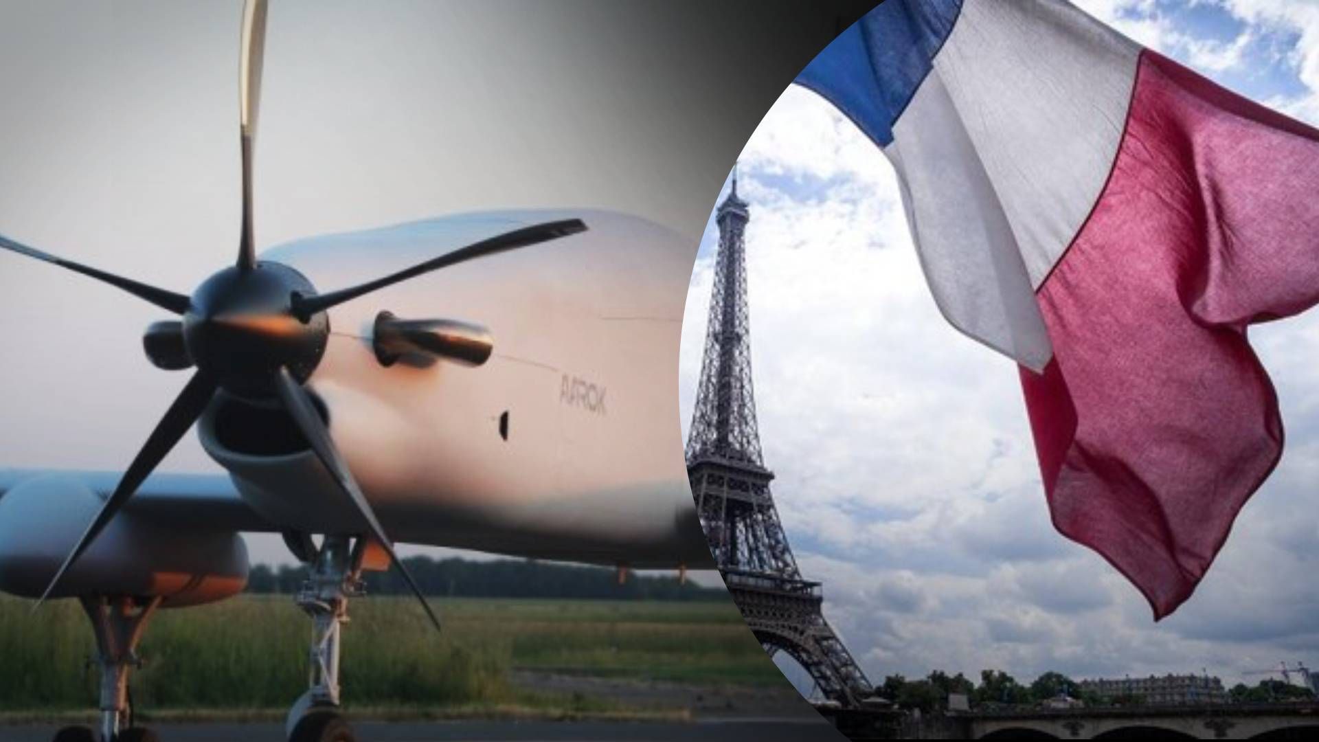 В Украине начнут собирать крупнейшие французские дроны - 24 Канал В Украине начнут собирать крупнейшие французские дроны - 24 Канал