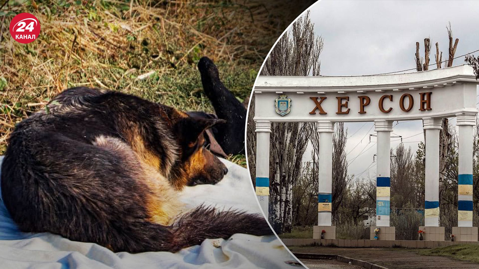 Ворог продовжує цинічно обстрілювати Херсонщину Ворог продовжує цинічно обстрілювати Херсонщину