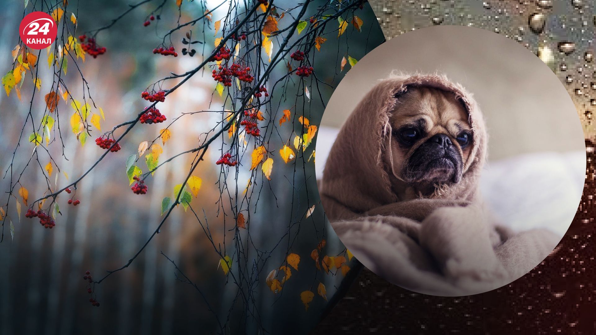 Совсем скоро в Украине станет прохладно Совсем скоро в Украине станет прохладно