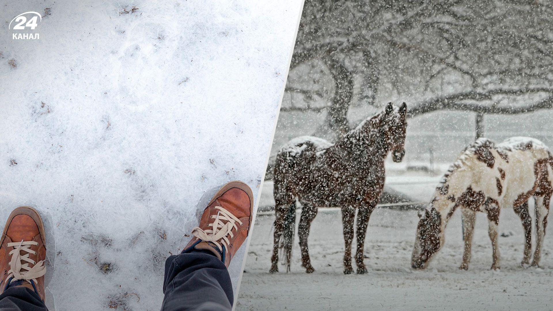 В Україні прогнозують заморозки і сніг - 24 Канал В Україні прогнозують заморозки і сніг - 24 Канал