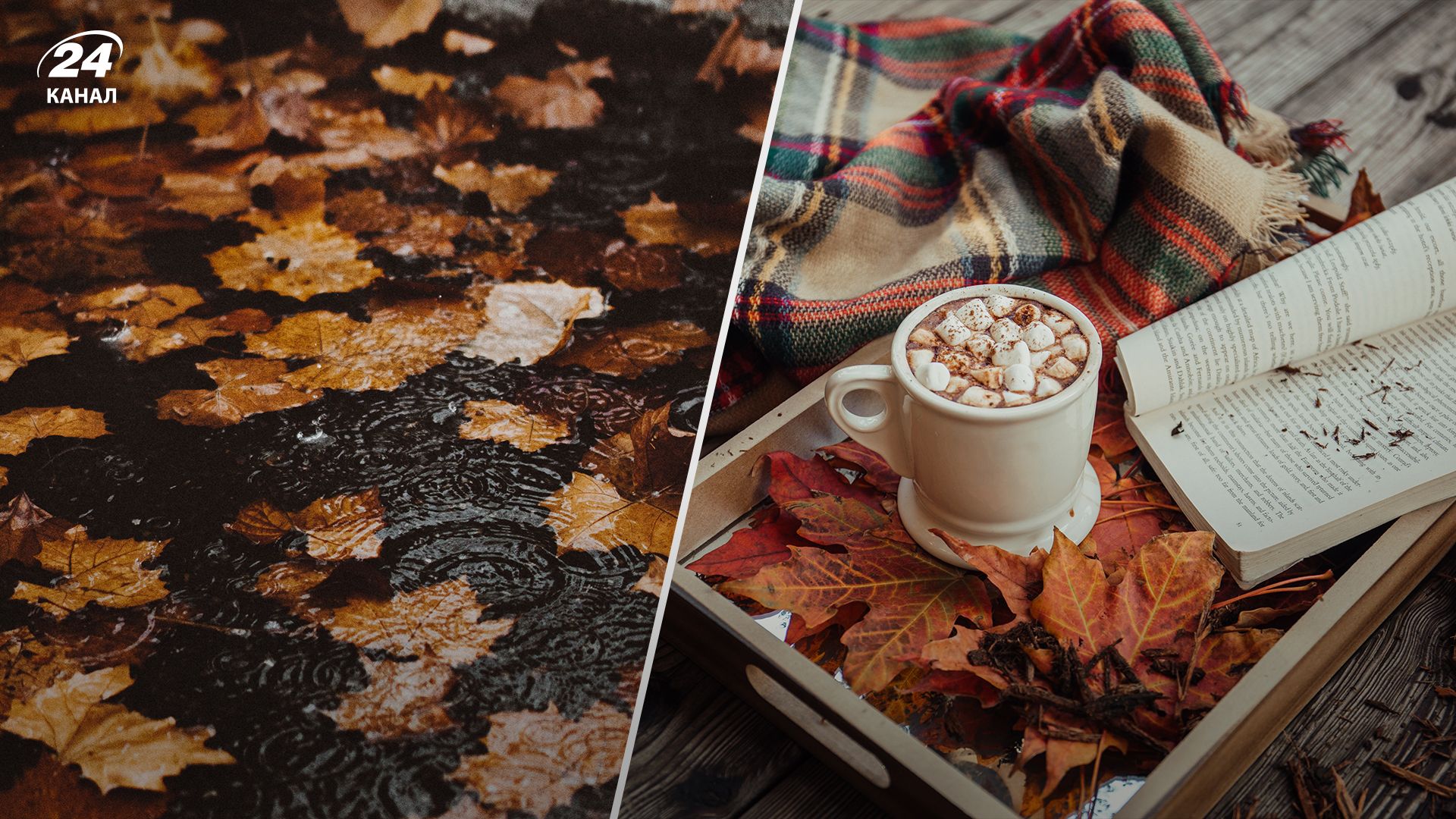 Прогноз погоды в Украине на 7 октября. Прогноз погоды в Украине на 7 октября.