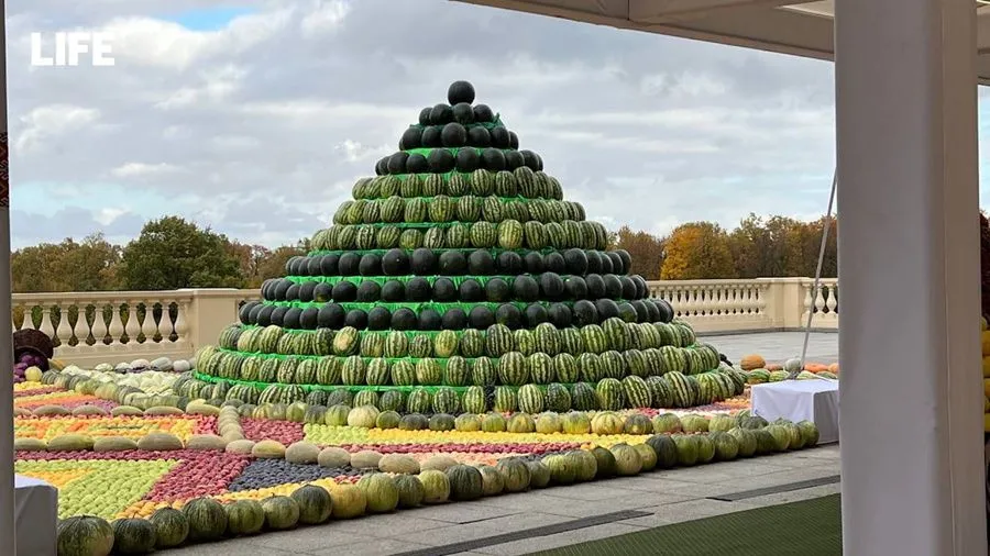 Путіну подарували піраміду з кавунів Путіну подарували піраміду з кавунів