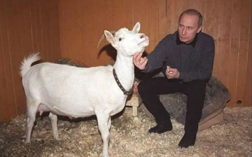 Путіну подарували козу 