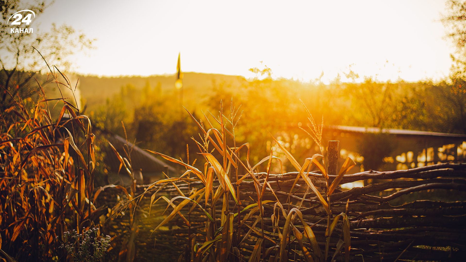 Погода в Украине - 24 Канал Погода в Украине - 24 Канал