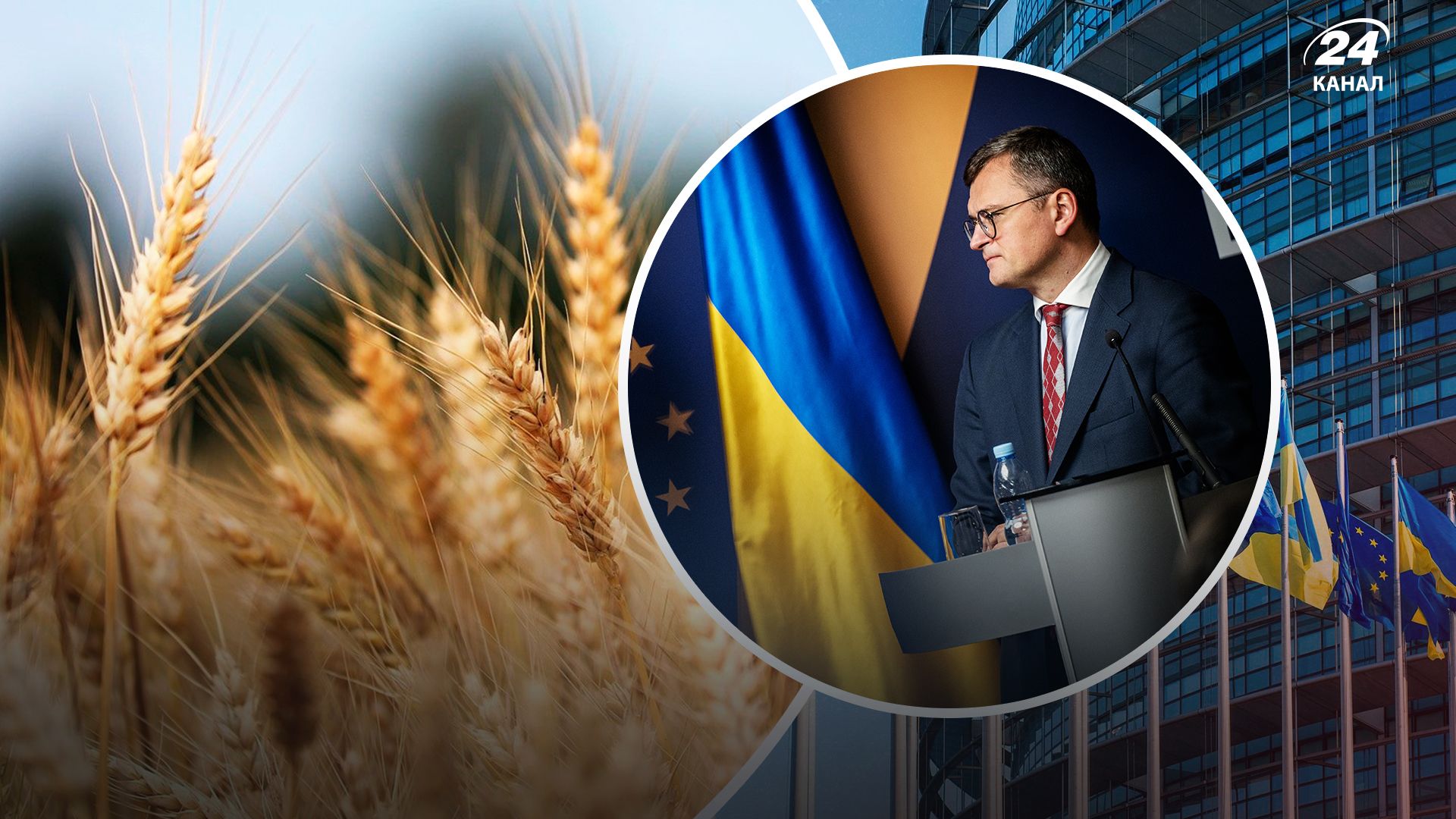 Кулеба відповів, чи стане агросектор України перешкодою для вступу в ЄС - Економіка Кулеба відповів, чи стане агросектор України перешкодою для вступу в ЄС - Економіка