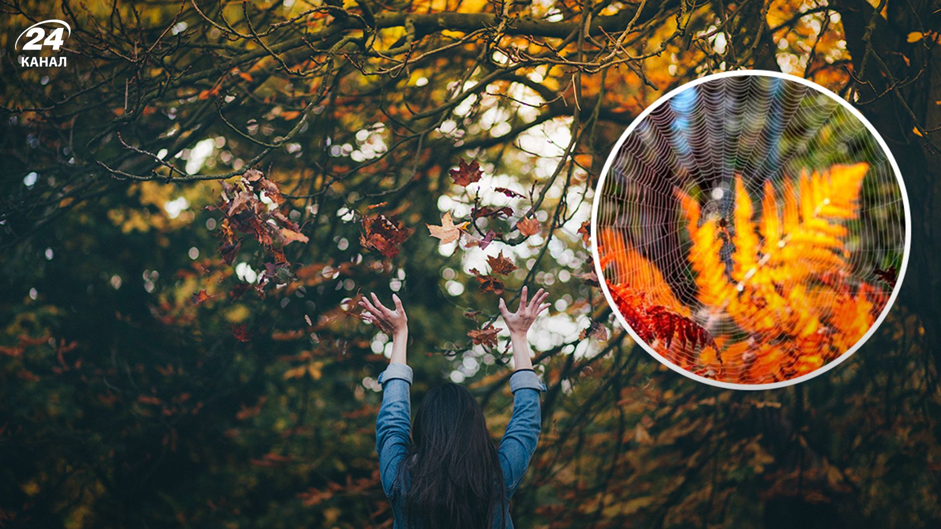 Бабине літо - 24 Канал Бабине літо - 24 Канал