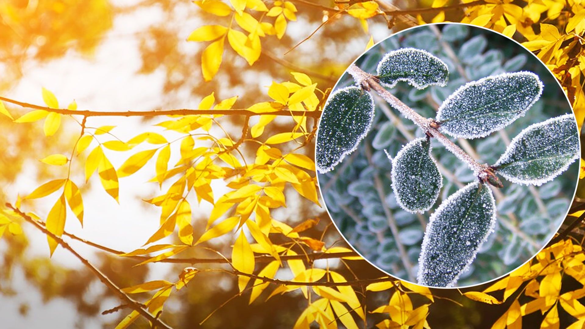 Прогноз погоди в Україні 10 жовтня - якою буде погода сьогодні - 24 Канал Прогноз погоди в Україні 10 жовтня - якою буде погода сьогодні - 24 Канал