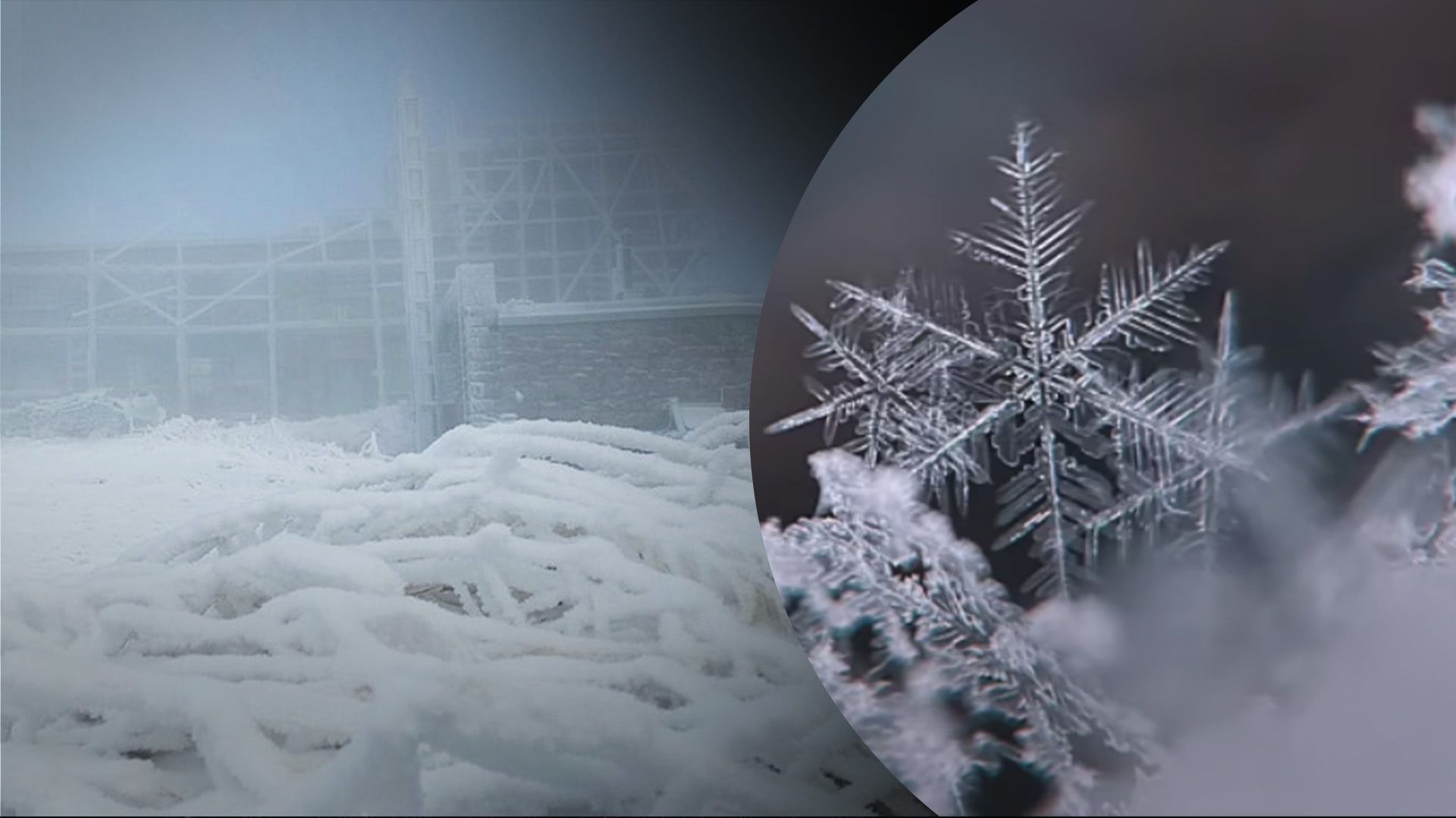 В Карпатах снег и мороз В Карпатах снег и мороз