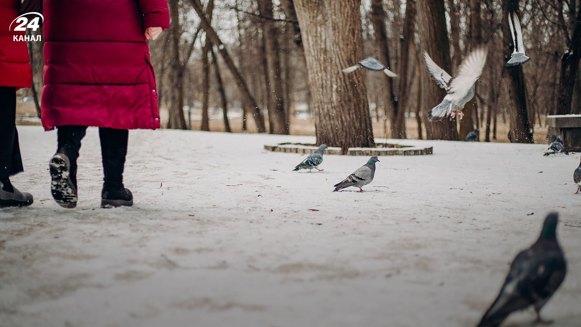 Прогноз погоды - 24 Канал Прогноз погоды - 24 Канал