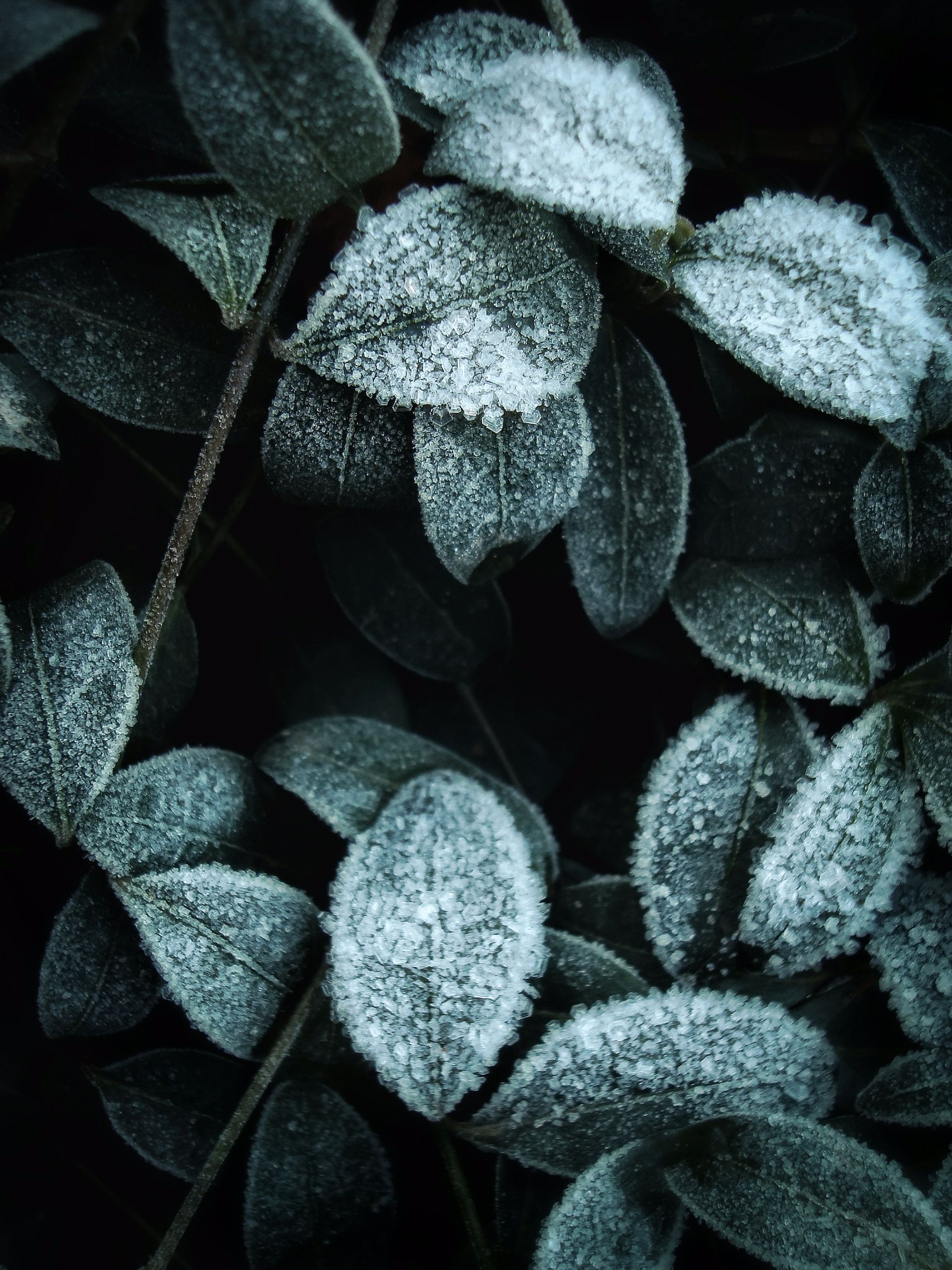 В Украину понемногу идут морозы В Украину понемногу идут морозы