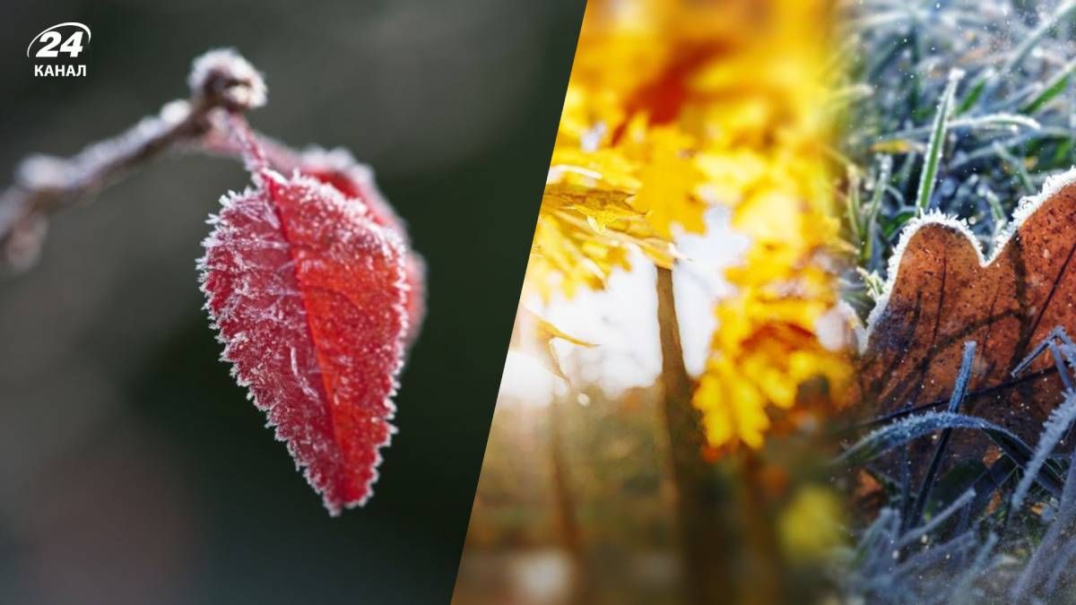 Заморозки придут всего на один день Заморозки придут всего на один день