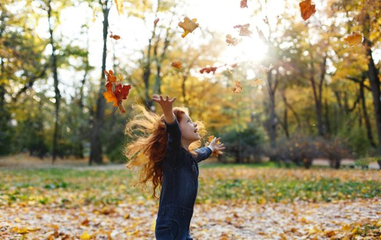 Когда каникулы 2023 в школах Львова - точные даты - сколько осенью будут отдыхать Когда каникулы 2023 в школах Львова - точные даты - сколько осенью будут отдыхать