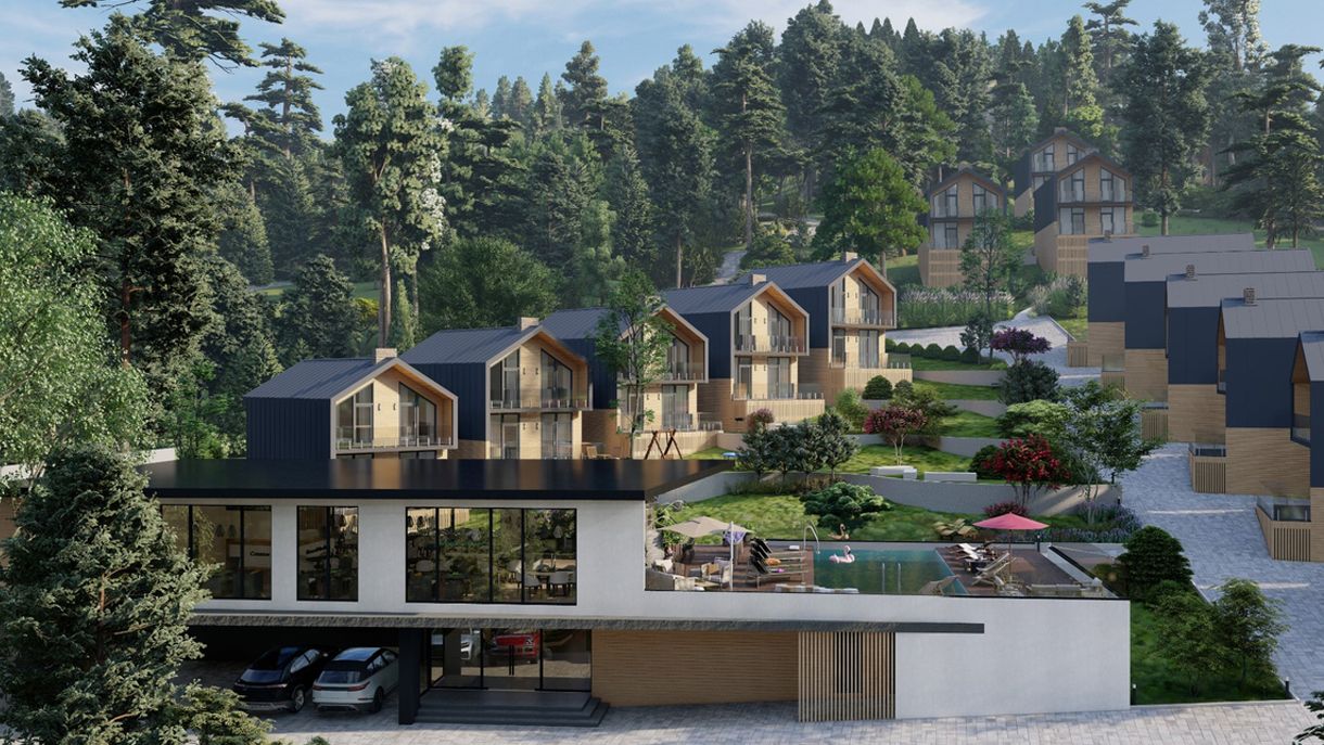 Инвестирование в коттедж в Буковеле Инвестирование в коттедж в Буковеле