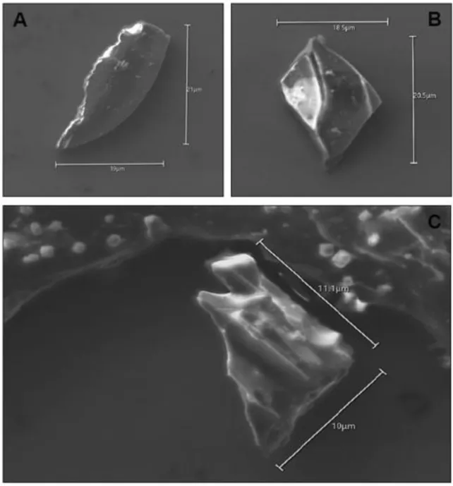 Зображення осколків скла, зроблені скануючим електронним мікроскопом