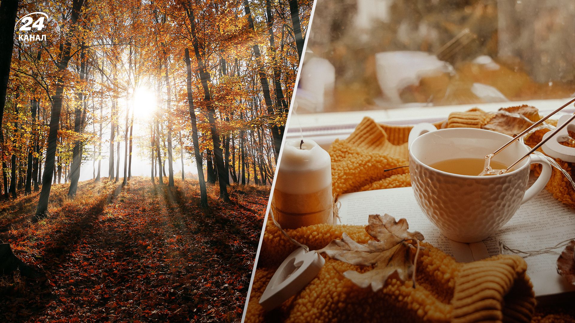 Прогноз погоды в Украине на 14 октября. Прогноз погоды в Украине на 14 октября.