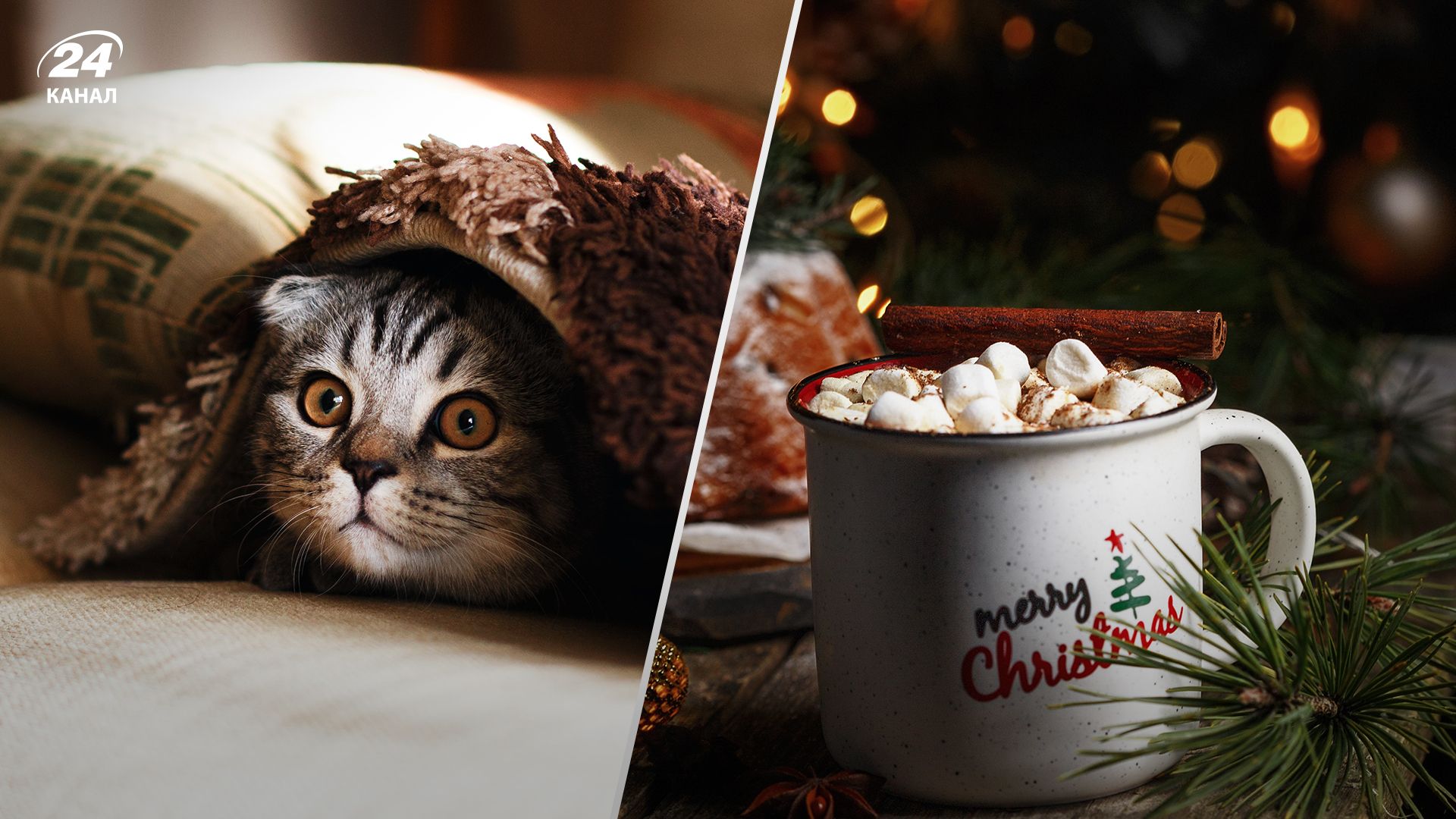 Когда начнется отопительный сезон в Киеве – почему его могут отсрочить Когда начнется отопительный сезон в Киеве – почему его могут отсрочить