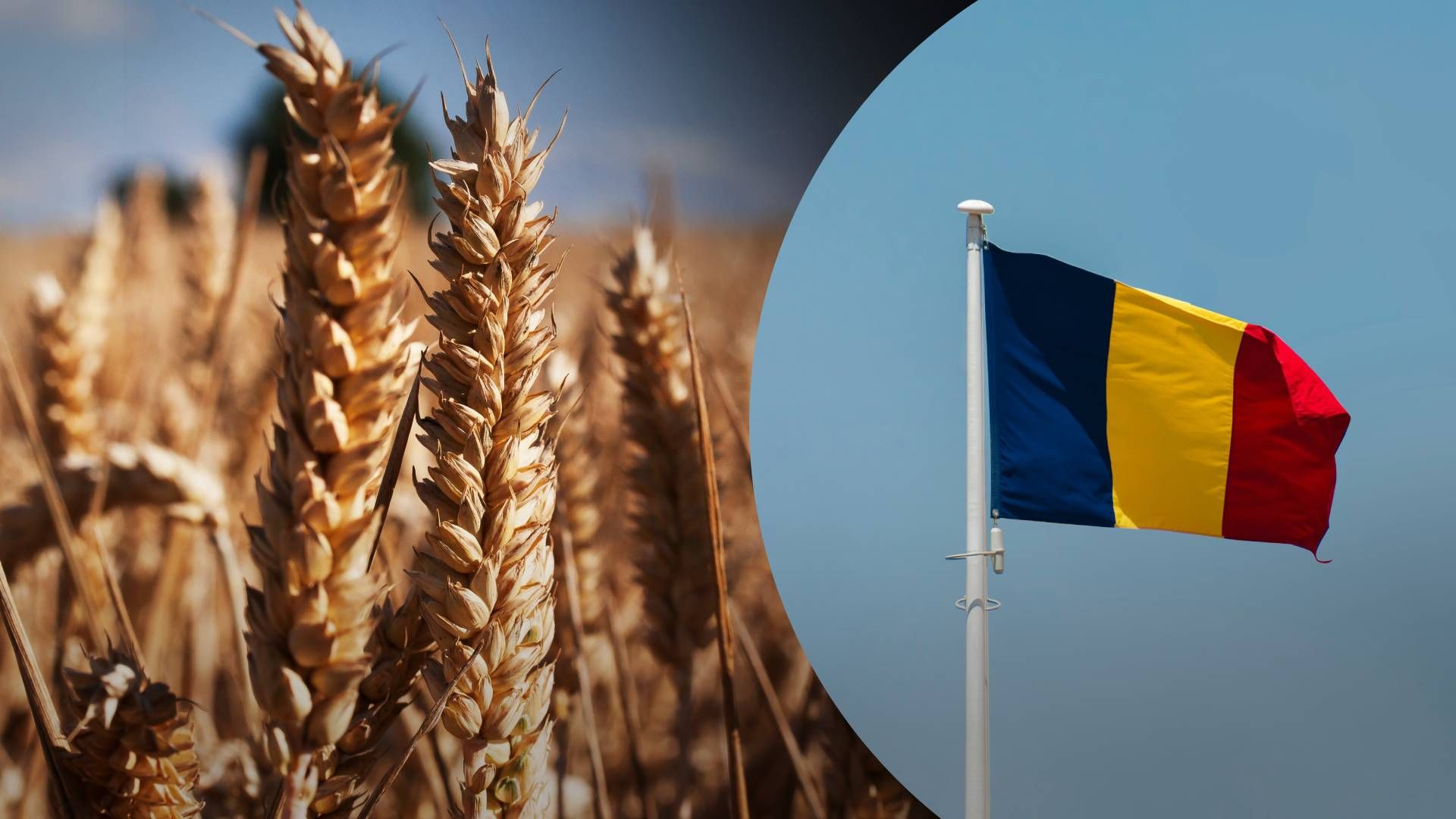 Румунія дозволить імпорт зерна з України за певних умов - Економіка