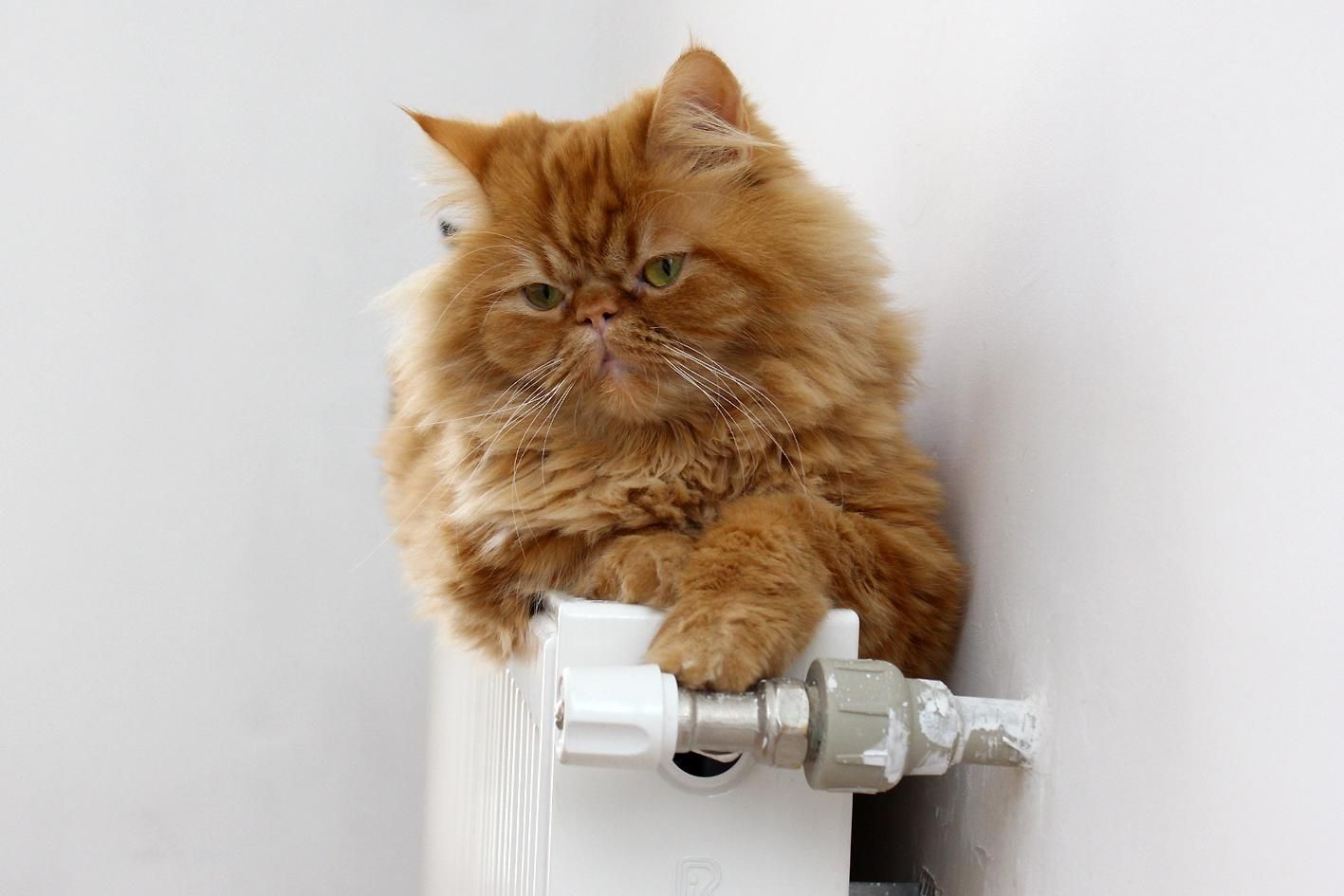 Начало отопительного сезона Начало отопительного сезона