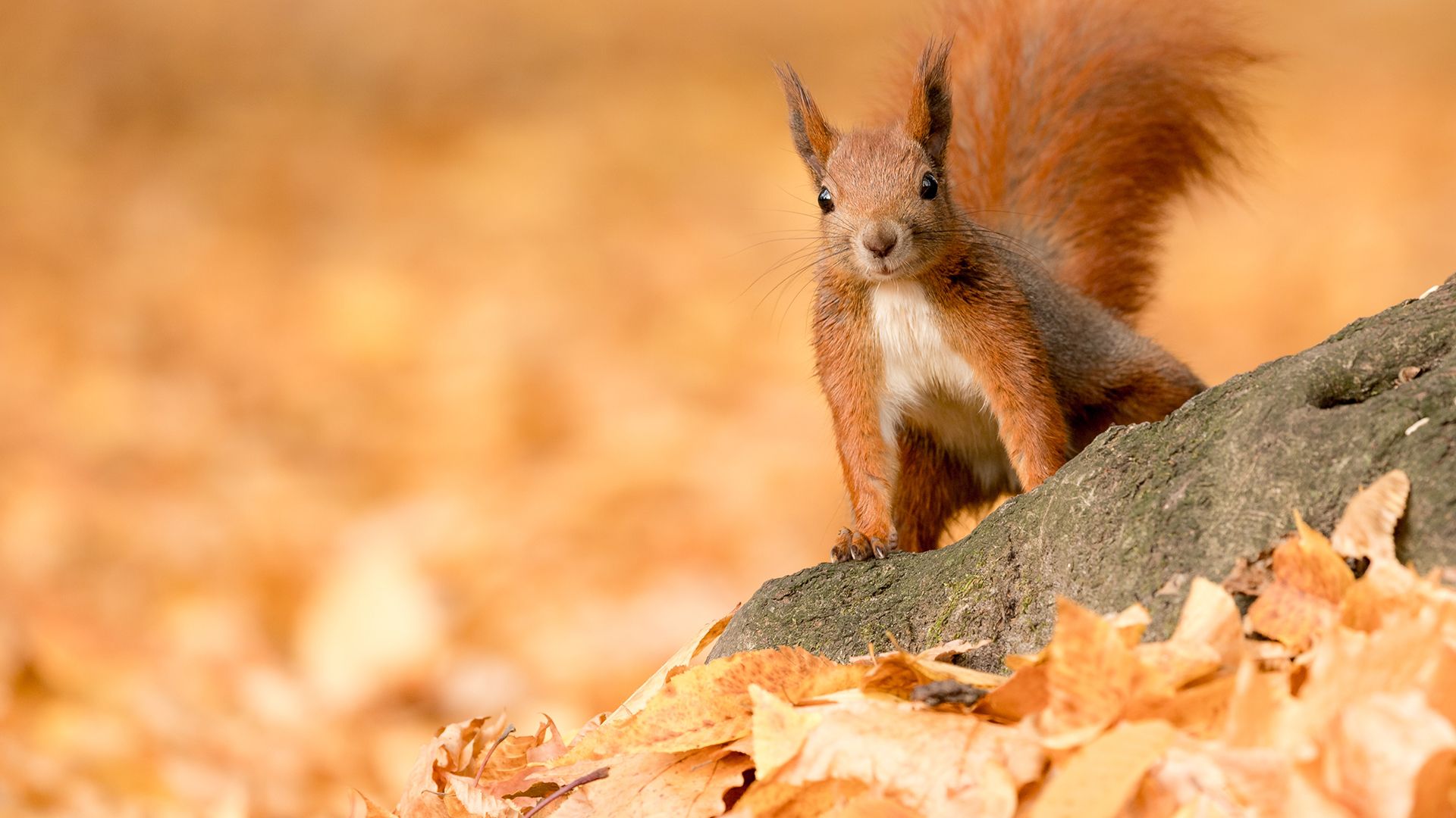 Погода - 24 Канал Погода - 24 Канал