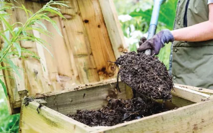 Компост Компост