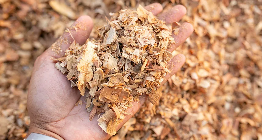 Тирса Тирса